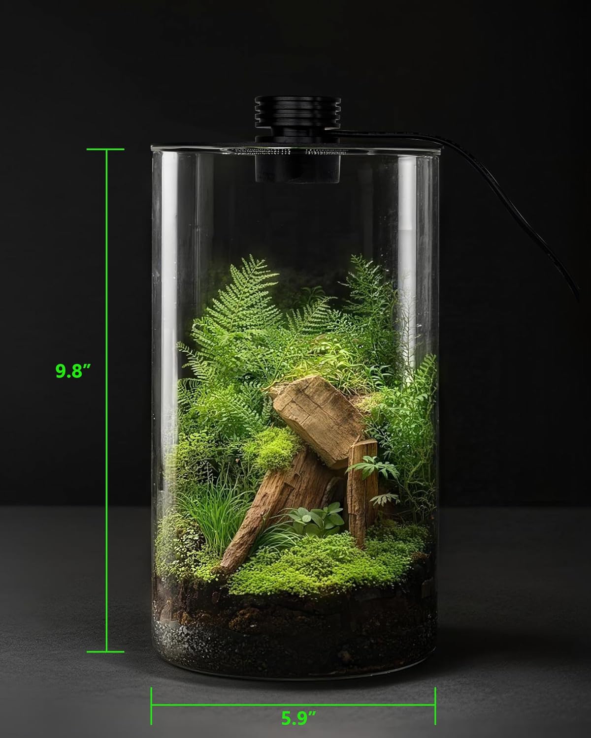 Terrário de Vidro Interno com  - Home Office Lamp avaliação e preço