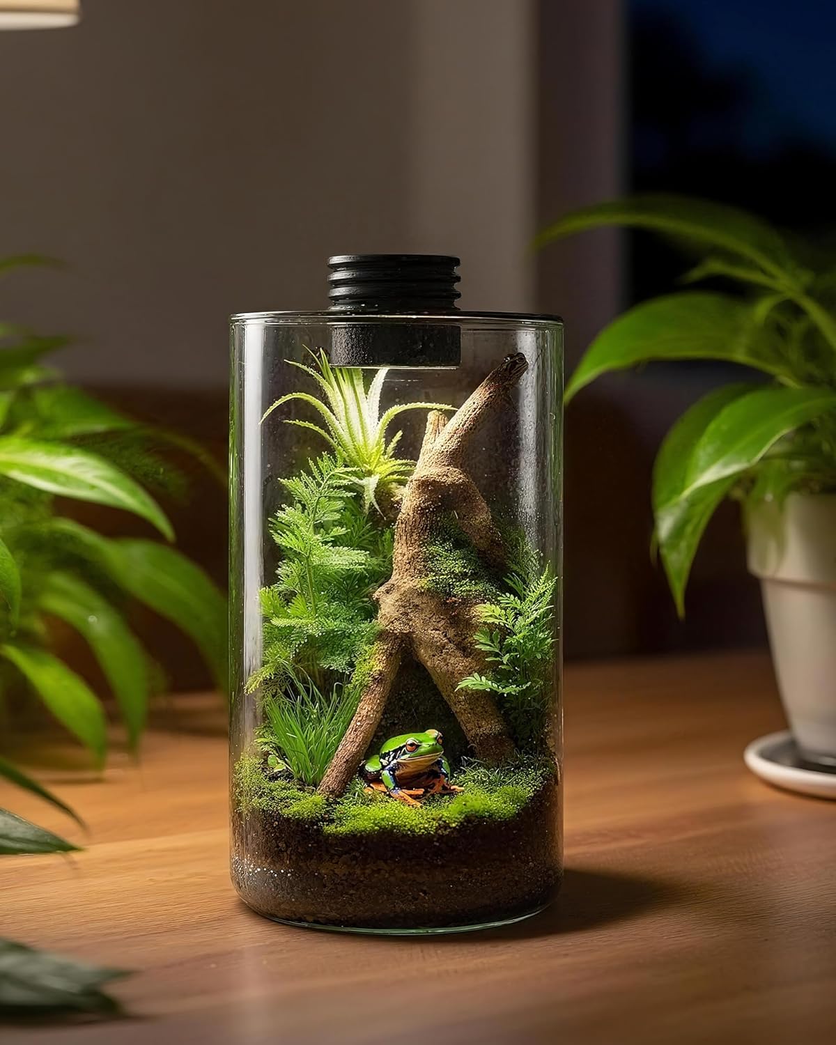 Terrário de Vidro Interno com  - Home Office Lamp avaliação e preço