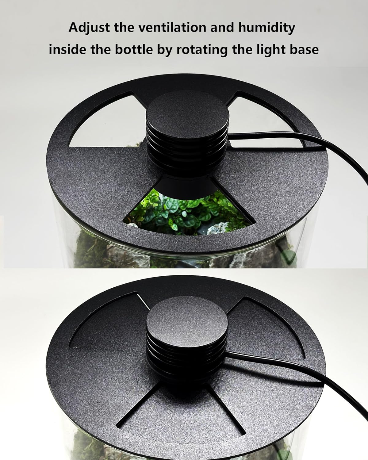 Terrário de Vidro Interno com  - Home Office Lamp avaliação e preço